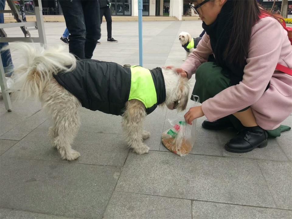 1512140310793.jpeg 1512140310793.jpeg