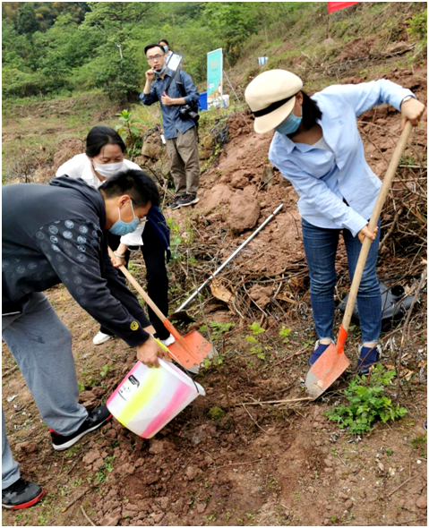 QQ图片20200430162843.png QQ图片20200430162843.png